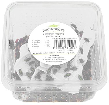 proinsects Goldfliegen (flugfähig) 100 STK.