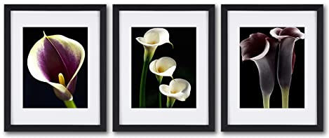 Calla Lily Wandkunst, gerahmt, Leinwanddruck, gerahmt, 27,9 x 35,6 cm, 3 Stück, für Küche und Zuhause oder Wohnzimmer