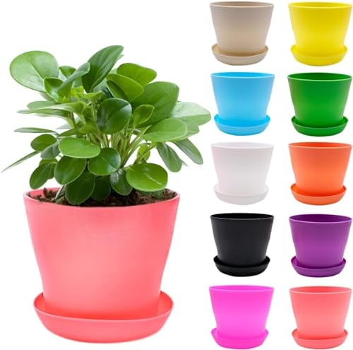 10 Stück Blumentopf Klein mit Untersetzer, 10cm Pflanztopf Plastik Dekorative Pflanztöpfe Bunte, Mini übertopf Kunststoff, Kleine Blumentöpfe Set für Innen und dem Balkon Pflanzen