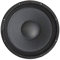 plug & sound WOOFER SUBWOOFER 15 Pollici 15 38 CM 380mm Altoparlante di Ricambio Universale per Casse ACUSTICHE