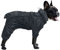 MOREZI Hunderegenmantel, hoher Kragen wasserdicht, Regenmantel-Set mit Reflexstreifen und Reißverschlüssen, für alle Hundetypen geeignet-Schwarz-S