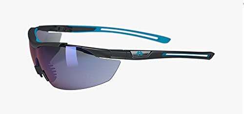 HELLBERG SAFETY Schutzbrille Argon-Blau AF/AS, 23232-001, Robuste Schutzbrille mit Sonnenglas