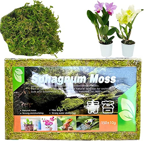 Ailovone Sphagnum Moos Für Bonsai Orchideen Langfaseriges Sphagnum, Moss Torfmoos Moos, Orchideen Moos, Sphagnum Moos Substrat Get Trocknen Für Orchidee Phalaenopsis (1pcs)