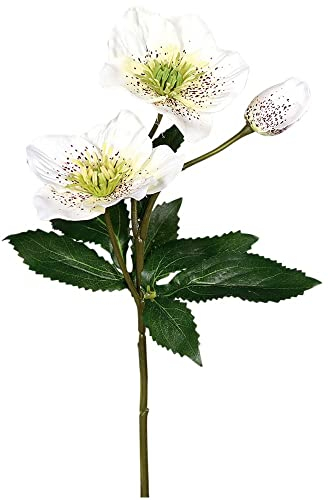 matches21 Christrose mit 2 Blüten & 1 Knospe Kunstblume Bastelmaterial Dekoblume Kunststoff Creme 1 STK Ø 9+3x35 cm