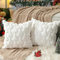TOYPOPOR 40CM x 40CM 2er Set Weihnachten Kissenbezüge Wolle Kissenbezüge Weicher Plüsch Kurzer Wollsamt Dekokissenbezuge Luxuriöses Sofakissen Europäische Kissenhülle für Sofa Schlafzimmer