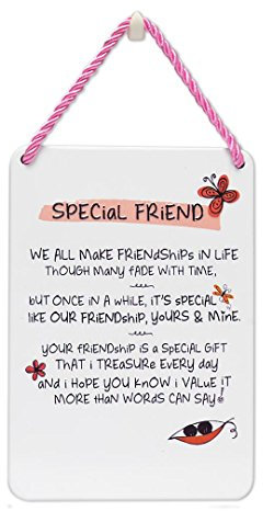 Zinn-Plaque mit inspirierenden Worten Special Friend (Für einen besonderen Freund)