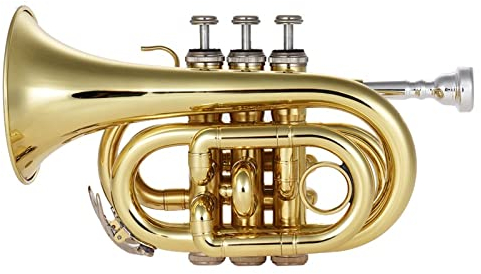 Professionelle Taschentrompete Flach B Bb Blechblasinstrument Mit Mundstück Handschuhe Tuch Bürste Fett Hartschalenkoffer Anfänger Trompete