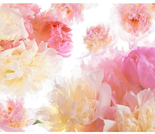 decomonkey Fototapete Blumen 350x256 cm XXL Design Tapete Fototapeten Vlies Tapeten Vliestapete Wandtapete moderne Wand Schlafzimmer Wohnzimmer Natur Pfingstrosen