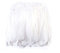 Raibertin 2 Yards Entengansfeder-Bordüre zum Basteln, weiße Gänsefedern, Band, Dekoration, Kleidung, Nähen, Kostüm, Lampenschirm, Lampe, Zubehör, Hochzeit, Wandbehang (weiß)