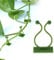 100Pcs Plant Clips for Climbing Plants,Plant Climbing Fixture Clips, Self Adhesive Invisible Wall Vines Climbing Plant Support Clips Garden Plant Wall Fixture Clips for Climbing Plants