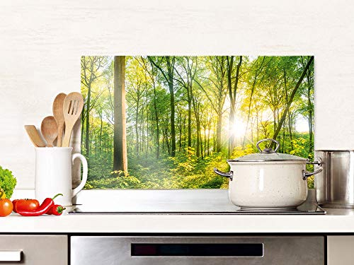 GRAZDesign Spritzschutz Küche Glas Wald, Lichtung, Bäume in Grün, Küchenrückwand Glas für Herd und Spüle, Rückwand Küche Glasplatte mit Motiv, 80x40cm