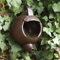 Aggloz | Wild Bird Multi-Purpose Nesting Box | Can Be Either Open Fronted or A Traditional Tea Pot Nester | Suitable For Many Different Species of Garden Birds