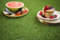 Gazon synthétique Brunch 18mm - Rouleau de 3.00m x 5m