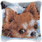 ROCKY&CHAO Latch Hook Cushion Kits, Latch Hook Pillow Case Kits Embroidery Kits Carpet Set17X17Inch, DIY Needlework Pillow Cover Sofa Cushion Rug Making Kits, DIY Craft Kits (43x43 cm)