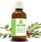 Pure Herbs LENTISQUE Huile essentielle de feuille (Pistacia Lentiscus) pure et naturelle de qualité thérapeutique (5 ml)