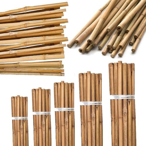 AHS Strong Heavy Duty Bamboo Canes - Natural 4FT Gardening Cane - Professional Thick Garden Canes - Indoor Outdoor Plants Support Stakes - Large Wooden Stake Trellis Pole (10, 4FT (120cm))
