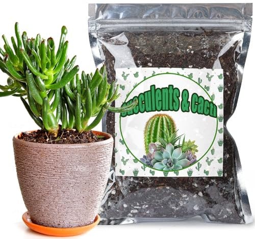 GOTVUGE Cactus & Succulent Soil Mix 4L, Chunky Well-Draining Soil for Indoor Plants - Spike & Bloom