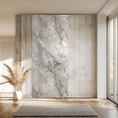 HEXIM Marmorplatten Optik 4 Stück 280x122 cm SPC Kunststoff Innen & Außenbereich Granit Steinoptik - Duschrückwand Küchenrückwand Spritzschutz Betonoptik (13,66 m² 8090A) A-Serie