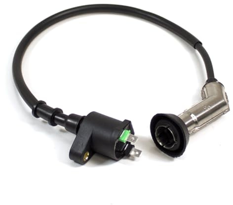 Ignition Coil compatible with Lexmoto Echo 50 E4 LJ50QT-5L/Echo 50 LJ50QT-3L/Echo+ 50 LJ50QT-6L/Nano 50 LJ50QT-N, compatible with Longjia LJ50QT-3L LJ50QT-3L(LJ)