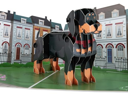 Cardology – Dackel-Pop-Up-Karte | 3D-Geburtstagskarte mit Wurst, Vatertagskarten, Muttertagskarten, Grußkarten | Handgefertigt