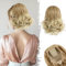 BARSDAR Kurzes Pferdeschwanz Haarteil Blond, 25cm Wellige Zopf Pferdeschwanz Haarverlängerung mit Kordelzug für Damen Synthetisch Comb Clip in Ponytail Extension - Gemischt Blond & Bleich Tipps