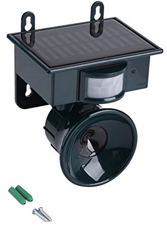 Repellitore ad ultrasuoni Repellitore ad ultrasuoni per uccelli, Sensore di movimento PIR ad energia solare Repellente ad ultrasuoni Cane Gatto Volpe Cacciatore di topo