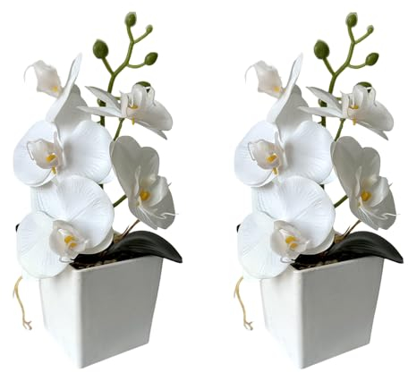 XIZHI Confezione da 2 orchidee artificiali con vaso, 25,4 cm, bonsai, fiori di seta, orchidea farfalla, con vaso, per matrimoni, ufficio, casa, centrotavola interni (bianco)