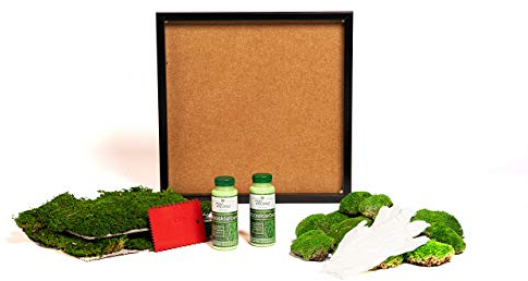 DIY Moosbild selber machen, Wandbilder selber kleben, Moosbilder selbst gestalten Do it yourself Set Moos kleben Wanddeko herstellen Wandbild Komplett-Set Bilderrahmen (schwarz, 45 x 45 cm)