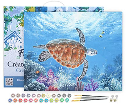 Figured'Art Pintar por Numeros Adultos con marco Tortuga - Manualidades pintura acrilica Kit Cuadro DIY completo - 40x50cm con bastidor montado