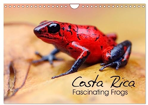 Costa Rica - Fascinating Frogs (Wandkalender 2025 DIN A4 quer), CALVENDO Monatskalender