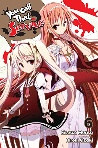 You Call That Service?, Vol. 6 (light novel) (Volume 6)