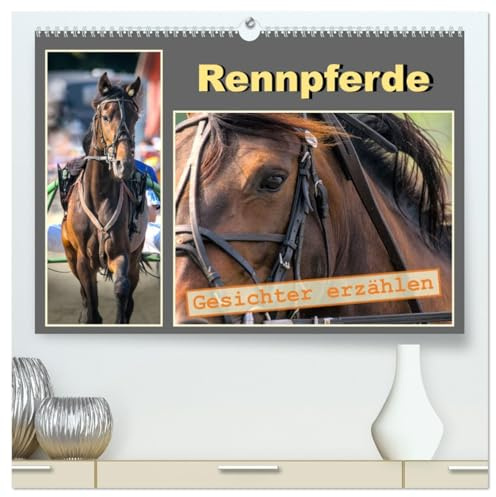 Rennpferde - Gesichter erzählen (hochwertiger Premium Wandkalender 2026 DIN A2 quer), Kunstdruck in Hochglanz: Anmutige Portraits edler Vollblüter auf der Rennbahn (CALVENDO Tiere)