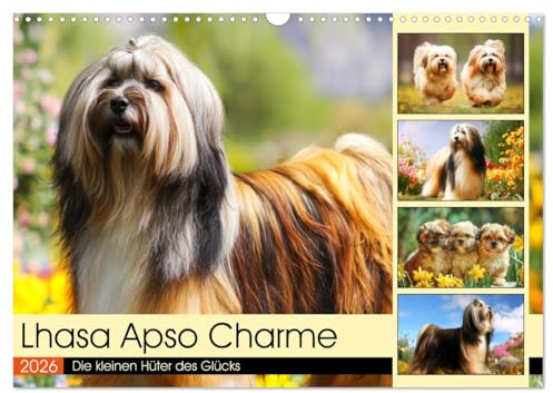 Lhasa Apso Charme. Die kleinen Hüter des Glücks (Wandkalender 2026 DIN A3 quer), CALVENDO Monatskalender: Die Schönheit und das stolze Wesen des Lhasa Apso in malerischen Szenen (CALVENDO Tiere)