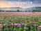 Blütenmeer Posterkalender 2025: Wandkalender mit 12 beeindruckenden Landschaftsfotos. Dekorativer Jahres-Kalender mit üppigen Blumenwiesen. 44 x 34 cm. Querformat.