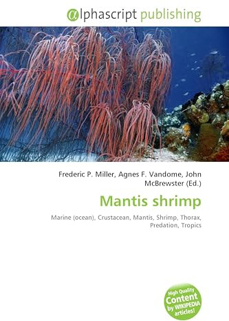 Mantis shrimp: Marine (ocean), Crustacean, Mantis, Shrimp, Thorax, Predation, Tropics