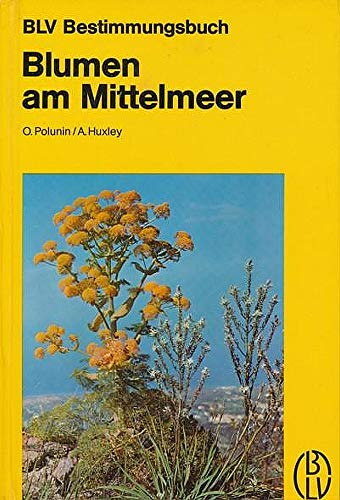 Blumen am Mittelmeer