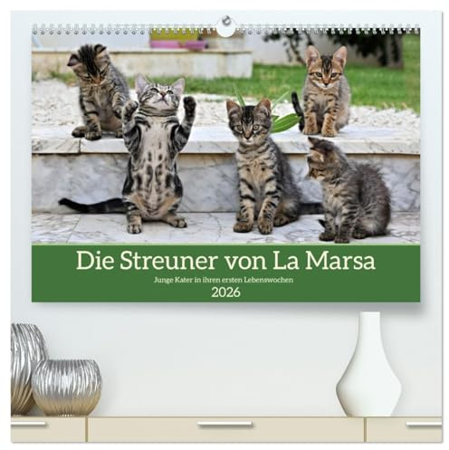 Die Streuner von La Marsa (hochwertiger Premium Wandkalender 2026 DIN A2 quer), Kunstdruck in Hochglanz: Es wäre ein perfektes Geschenk für ... das Freude und Lächeln in den Alltag bringt.