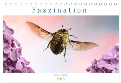Faszination Insektenflug (Tischkalender 2026 DIN A5 quer), CALVENDO Monatskalender: EIn farbenfroher EInblick in die wundervolle Welt der Insekten während ihrer Flugphase (CALVENDO Tiere)