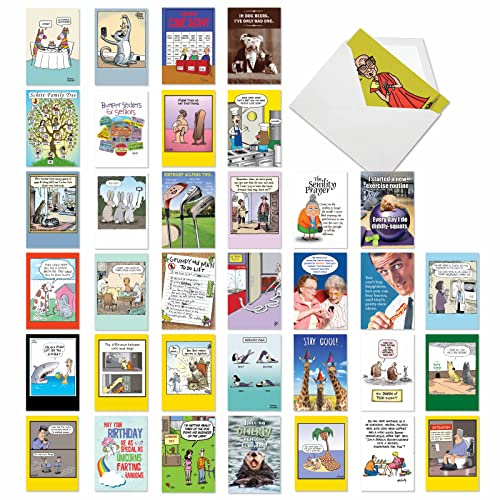 NobleWorks,36 verschiedene lustige humorvolle Geburtstagskarten Bulk Box Set mit Umschlägen (36 Motive, Humor B-Day Karte Variety Pack für Männer und Frauen,Geburtstag Favoriten AC2911BDG-B1x36