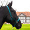 Pferdelinis Halfter für Warmblut, Vollblut, Kaltblut, Pony – Stallhalfter, Weidehalfter, 2-Fach verstellbare Dornschnallen, sicher & reißfest (Tanne, Pony)