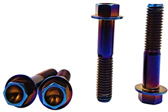 RISON-Titanium Sechskantschrauben mit Flansch M10x1.25x25mm, 5 Stück Titanschrauben Sechskant Kopf Schrauben, Flanschschrauben Titanbolzen Maschinenschrauben für Motorrad, Fahrrad Modifikation