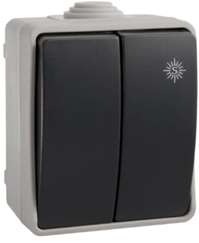 Doppio interruttore/interruttore di superficie a tenuta stagna bipolare 10A 250V per esterni, 65 x 80 x 55 mm