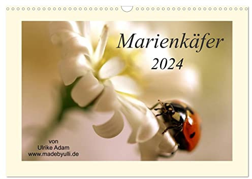 Marienkäfer / 2024 (Wandkalender 2024 DIN A3 quer), CALVENDO Monatskalender: Der Kalender zeigt bunte Makroaufnahmen des Marienkäfers (CALVENDO Tiere)