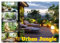 Urban Jungle - wohnen mit Pflanzen (Wandkalender 2025 DIN A2 quer), CALVENDO Monatskalender