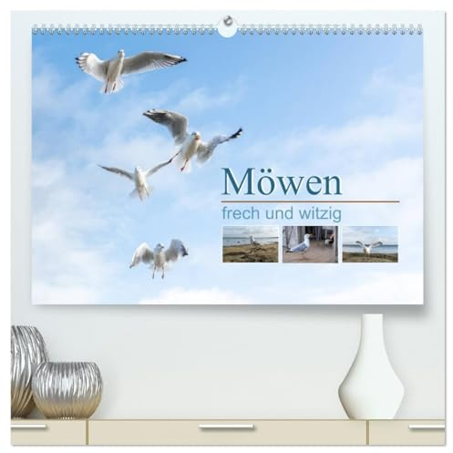 Möwen frech und witzig (hochwertiger Premium Wandkalender 2026 DIN A2 quer), Kunstdruck in Hochglanz: Ein Kalender der fröhlich macht und zum Schmunzeln anregt (CALVENDO Tiere)