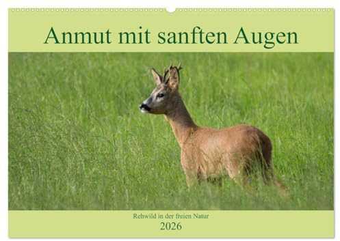 Anmut mit sanften Augen - Rehwild in der freien Natur (Wandkalender 2026 DIN A2 quer), CALVENDO Monatskalender: Ein Einblick in die Welt einer wunderbaren Tierart (CALVENDO Tiere)