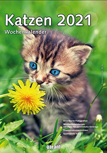 Wochenkalender Katzen 2022