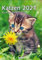 Wochenkalender Katzen 2022