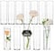 Glasseam Cylinder Glass Vase for Centrepiece: 12pcs Small Vases Set for Wedding Centrepieces Party Home Table Decoration - Modern Clear Bud Vase for Flowers Single Stem Rose Tulip