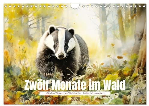 Zwölf Monate im Wald (Wandkalender 2026 DIN A4 quer), CALVENDO Monatskalender: Mit den Waldtieren durch die Jahreszeiten (CALVENDO Tiere)